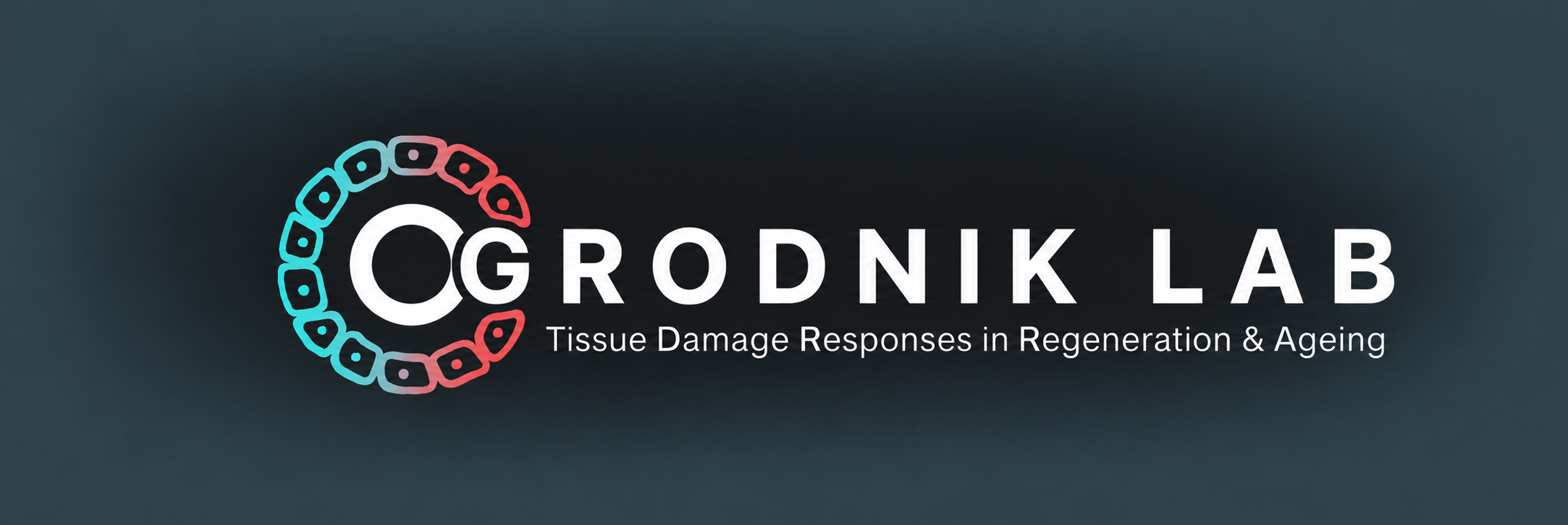 ogrodniklab.com